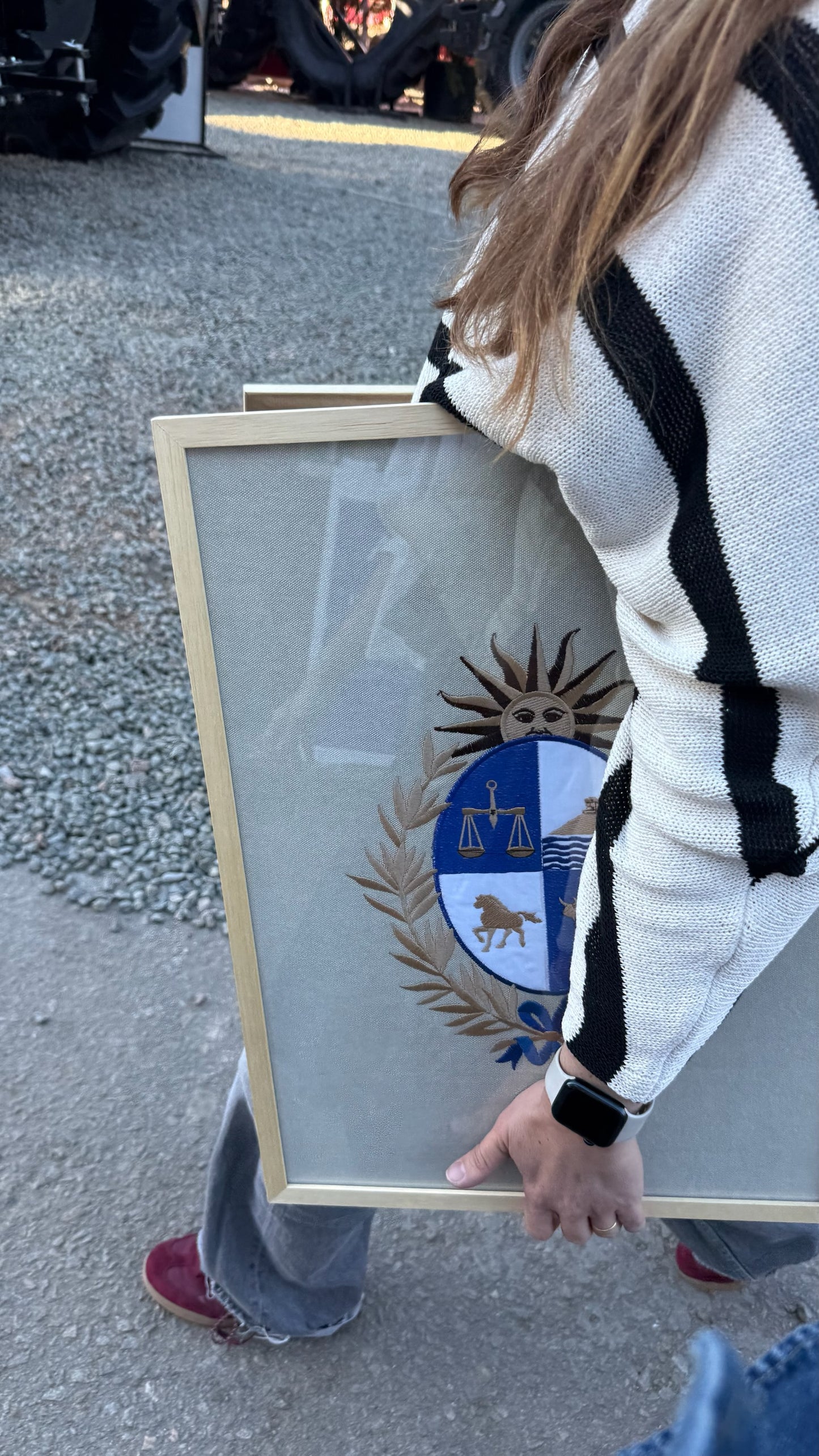 Cuadro Escudo