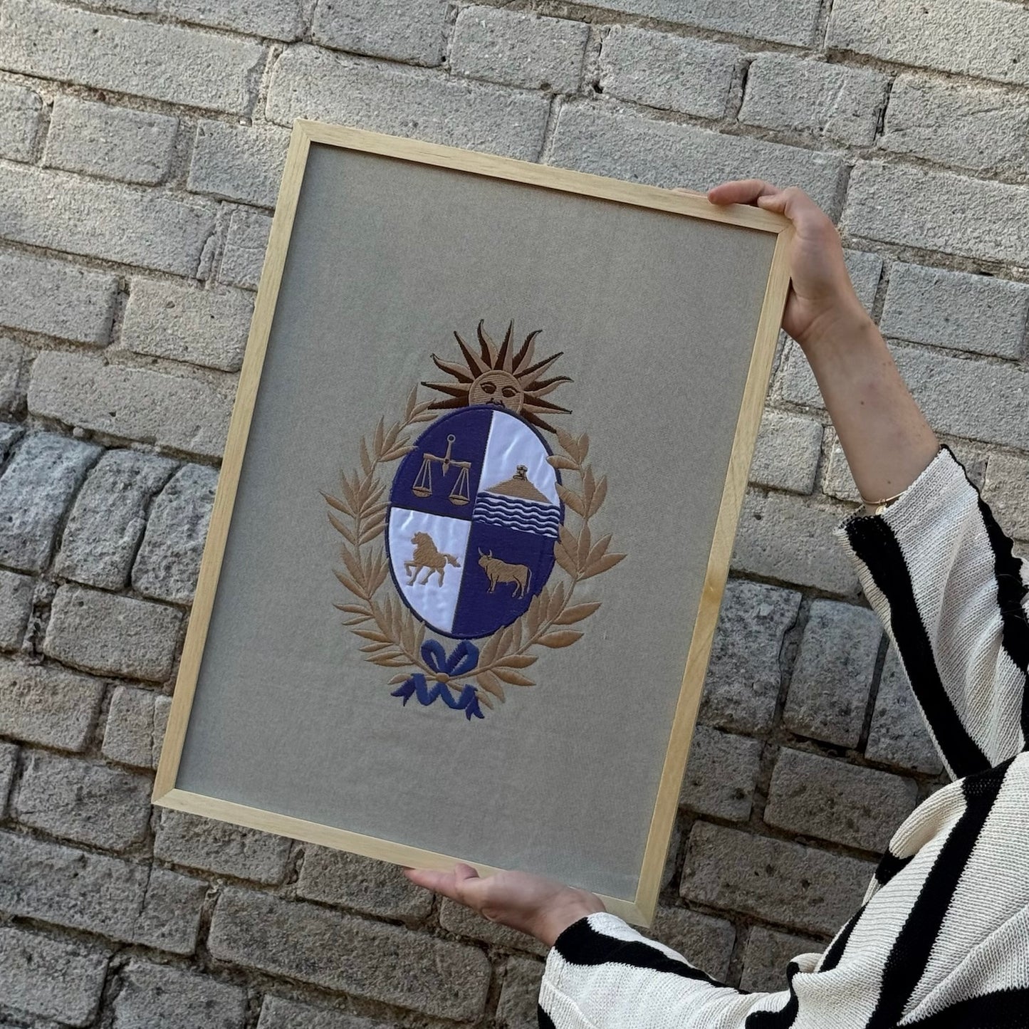 Cuadro Escudo