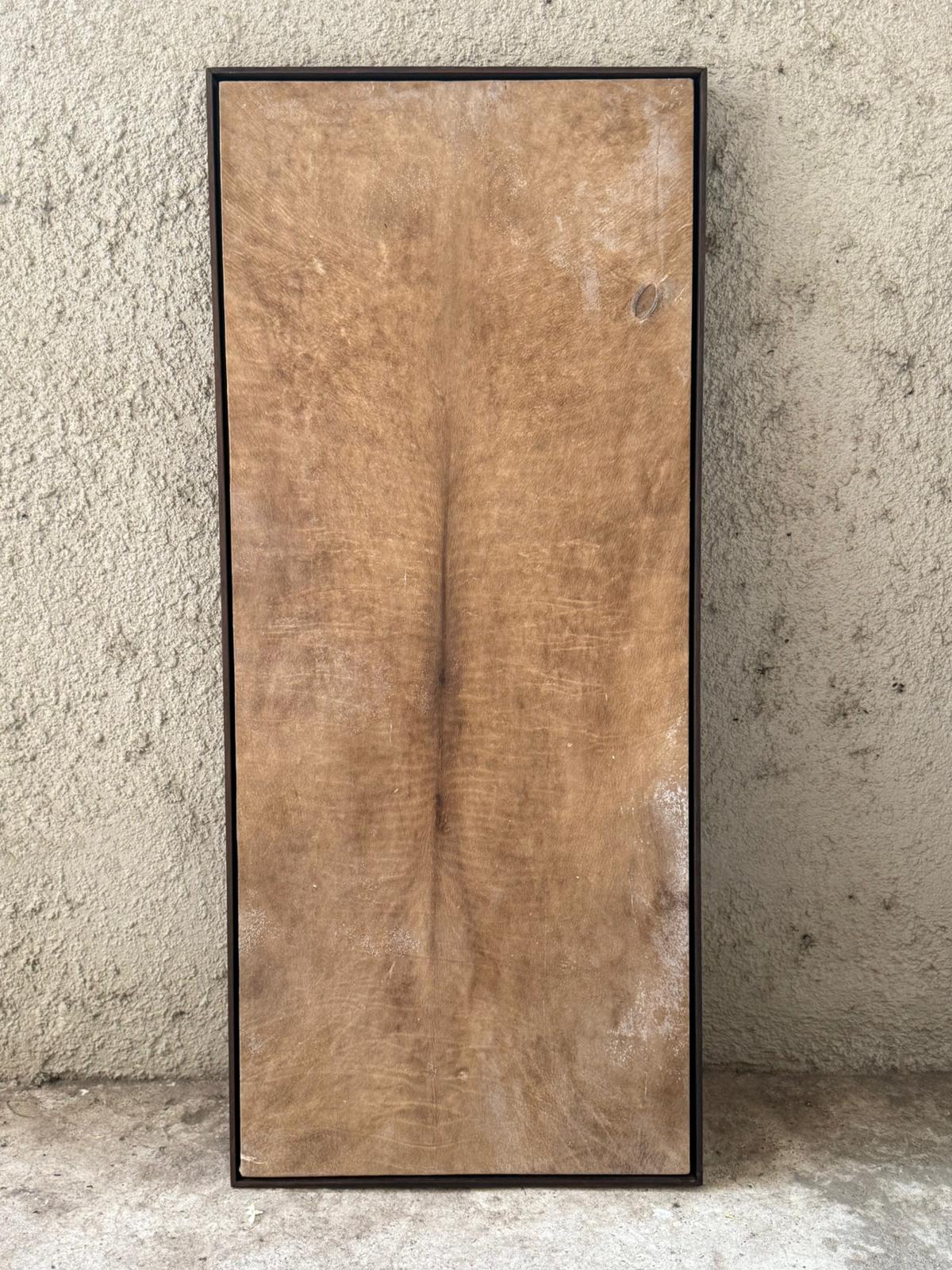 Cuadro en Lonja 98X42cm